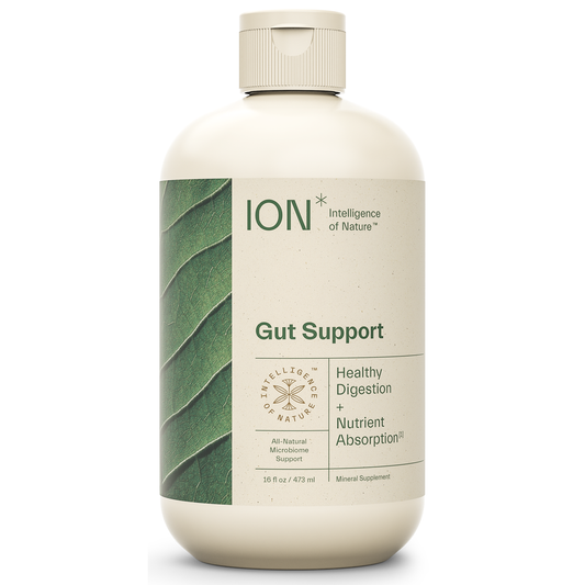 ION* Gut Support 16 fl oz
