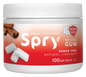 Natural Cinnamon Xylitol Gum