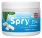 Natural Peppermint Xylitol Gum