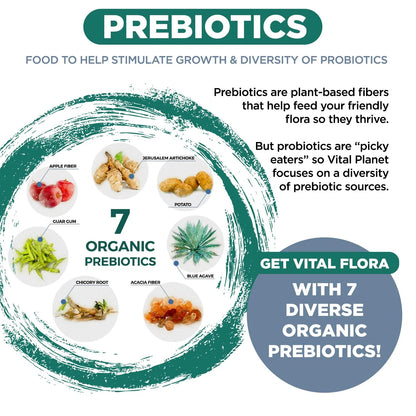 Vital Flora Ultra Daily Probiotic - Shelf Stable 60ct